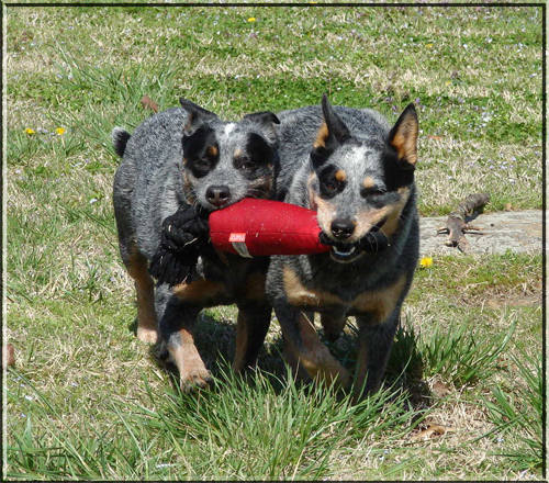 Abbie and Lacey