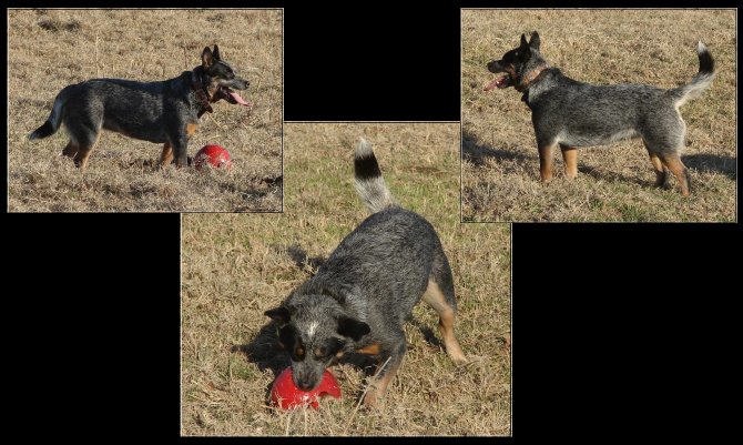 Abbie and her jolly ball