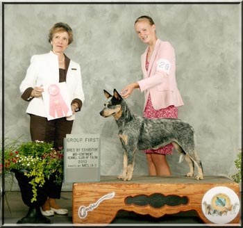 Happytrails Australian Cattle Dogs Show Ring Brags for 2010